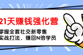 （1362期）21天赚钱强化营，掌握全套社交新零售实战打法，赚回N倍学员（完结）