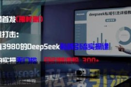 精准打击：价值3980的DeepSeek私域引流实操课，小白实操无门槛，日引精准粉300+