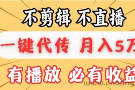 （13555期）不剪辑不直播，一键代发，月入5万懒人必备，我出视频你来发