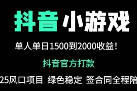 （14527期）抖音官方小游戏2025全网最新玩法，暴利赚钱项目，单机日入2000+，绝不…