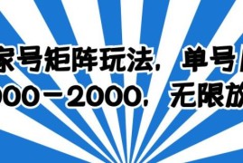 百家号矩阵玩法，单号月产1000-2000，无限放大【揭秘】