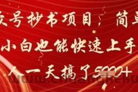 公众号抄书项目，简单粗暴，小白也能快速上手，有人一天搞了1k+
