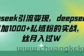 deepseek引流变现，deepseek被动日加1000+私域粉的实战，0粉丝月入过W