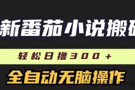 （11904期）最新番茄小说搬砖，日撸300＋！全自动操作，可矩阵放大