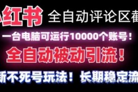 【全网首发】小红书全自动评论区截流机！无需手机，可同时运行10000个账号【揭秘】