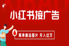 （6829期）小红书接广告月入过万，简单搬运图片，新手小白快速上手