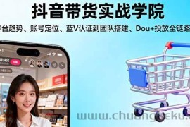 （16215期）抖音带货实战学院:从平台趋势/账号定位/蓝V认证到团队搭建/Dou+投放全链路