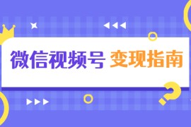 （1615期）微信视频号变现指南：独家养号技术+视频制作+快速上热门+提高转化