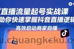 直播流量起号实战课，助你快速掌握抖音直播逻辑，高效启动商家自播