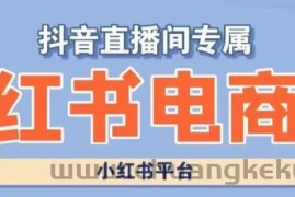 小红书电商高级运营课程，实操教学+案例分析