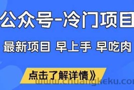 公众号冷门赛道，早上手早吃肉，单月轻松稳定变现1W【揭秘】