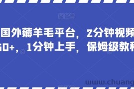 最新国外薅羊毛平台，2分钟视频收益50+，1分钟上手，保姆级教程【揭秘】