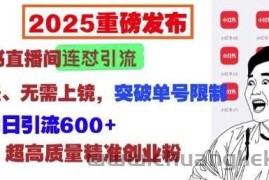 2025重磅发布：小红书直播间连怼引流，无需连麦、无需上镜，突破单号限制，暴力日引流600+