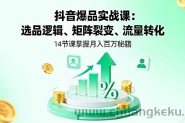 （16112期）抖音爆品实战课：选品逻辑、矩阵裂变、流量转化，14节课掌握月入百万秘籍