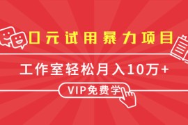 （1633期）0元试用暴力项目：一个员工每天佣金单500到1000，工作室月入10万+