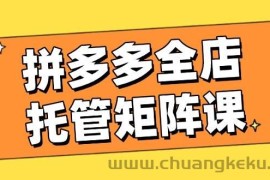 （14328期）拼多多全店托管矩阵课，盈利动销玩法，高效计划设置，提升店铺效益