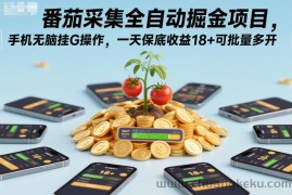 番茄采集全自动掘金项目，手机无脑挂G操作，一天保底收益18+可批量多开【揭秘】