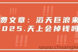 付费文章：滔天巨浪来袭！2025天上会掉钱吗？