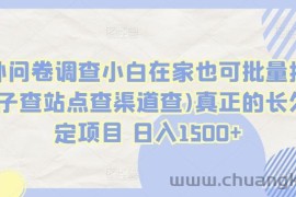 国外问卷调查小白在家也可批量操作(口子查站点查渠道查)真正的长久稳定项目 日入1500+【揭秘】