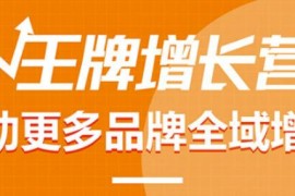 【王牌增长营】帮助更多电商品牌全域增长，月销百万实操干货，价值899元