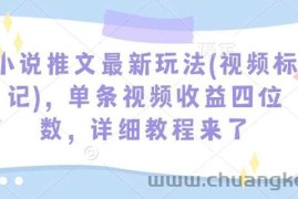 小说推文最新玩法(视频标记)，单条视频收益四位数，详细教程来了