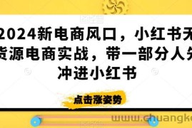 2024新电商风口，小红书无货源电商实战，带一部分人先冲进小红书