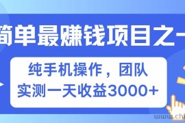 全网首发！7天赚了2.6w，小白必学，赚钱项目！