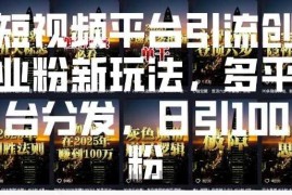 短视频平台引流创业粉新玩法，多平台分发，日引100粉