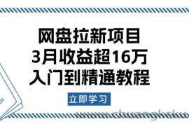 （13994期）网盘拉新项目：3月收益超16万，入门到精通教程