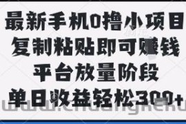 最新手机0撸小项目，复制粘贴即可挣钱，平台放量阶段，单日收益轻松3张+【揭秘】