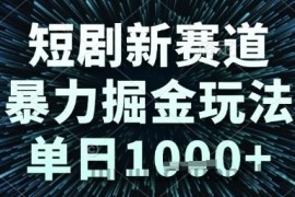 短剧新赛道，暴力掘金玩法，单日1k+【揭秘】