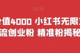 （6982期）首发价值4000 小红书无限艾特暴力引流创业粉 精准粉揭秘教程