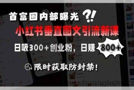 （15313期）首富圈内部曝光小红书垂直图文引流新课，日吸300+创业粉，日赚800+，限…