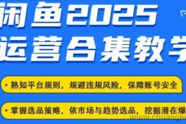 2025闲鱼电商运营全集，2025最新咸鱼玩法