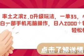 率土之滨2.0升级玩法，一单35，小白一部手机无脑操作，日入2000＋轻轻松松【揭秘】