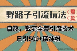 抖音小红书视频号全平台引流打法，全自动引流日引2000+精准客户