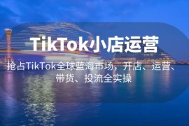 （5200期）TikTok小店运营 抢占TikTok全球蓝海市场，开店、运营、带货、投流全实操
