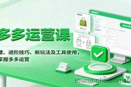 拼多多运营课，入门搭建、进阶技巧、新玩法及工具使用，一站式掌握多多运营
