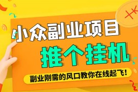 （4080期）小众电脑流量精灵全自动挂机刷浏览量项目，日收益15+【永久脚本+详细教程】