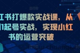 小红书打爆款实战课，从0到1起号实战，实现小红书的运营突破