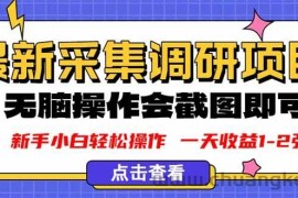（16155期）新版采集调研项目，截图上传即可，无脑操作，日收益1-2张