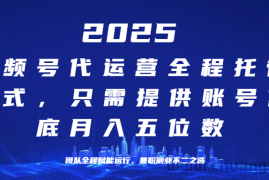 （14225期）25年视频号全程代运营模式，只需提供账号，团队全程赋能，稳定月入5位数