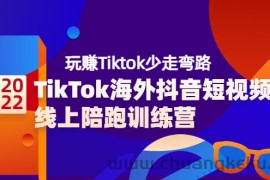 （3509期）TikTok海外抖音短视频线上陪跑训练营，玩赚Tiktok少走弯路