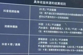 外面收费1500的汽水音乐人挂机项目，号称单窗口一天100