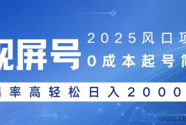 （14157期）2025风口项目，视频号带货，起号简单，爆率高轻松日入2000+