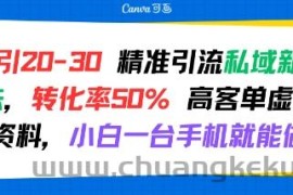 日引 20-30 精准引流私域新玩法，转化率50% 高客单虚拟资料，小白一台手机就能做