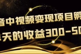 黄岛主抖音中视频变现项目孵化，单天的收益300-500操作简单粗暴