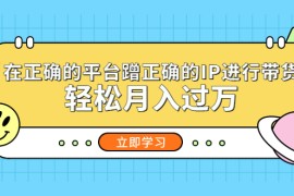 （5325期）在正确的平台蹭正确的IP进行带货，轻松月入过万