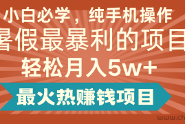 2024暑假最赚钱的项目，简单无脑操作，每单利润最少500+，轻松月入5万+