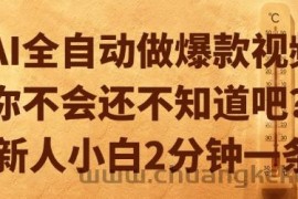 AI全自动做爆款视频，你不会还不知道吧？新人小白2分钟一条【揭秘】